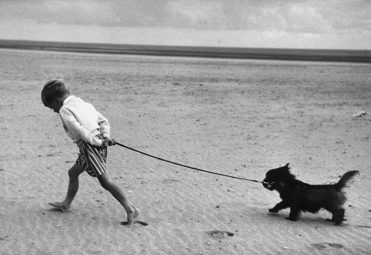 Walking the Dog by Erich Auerbach