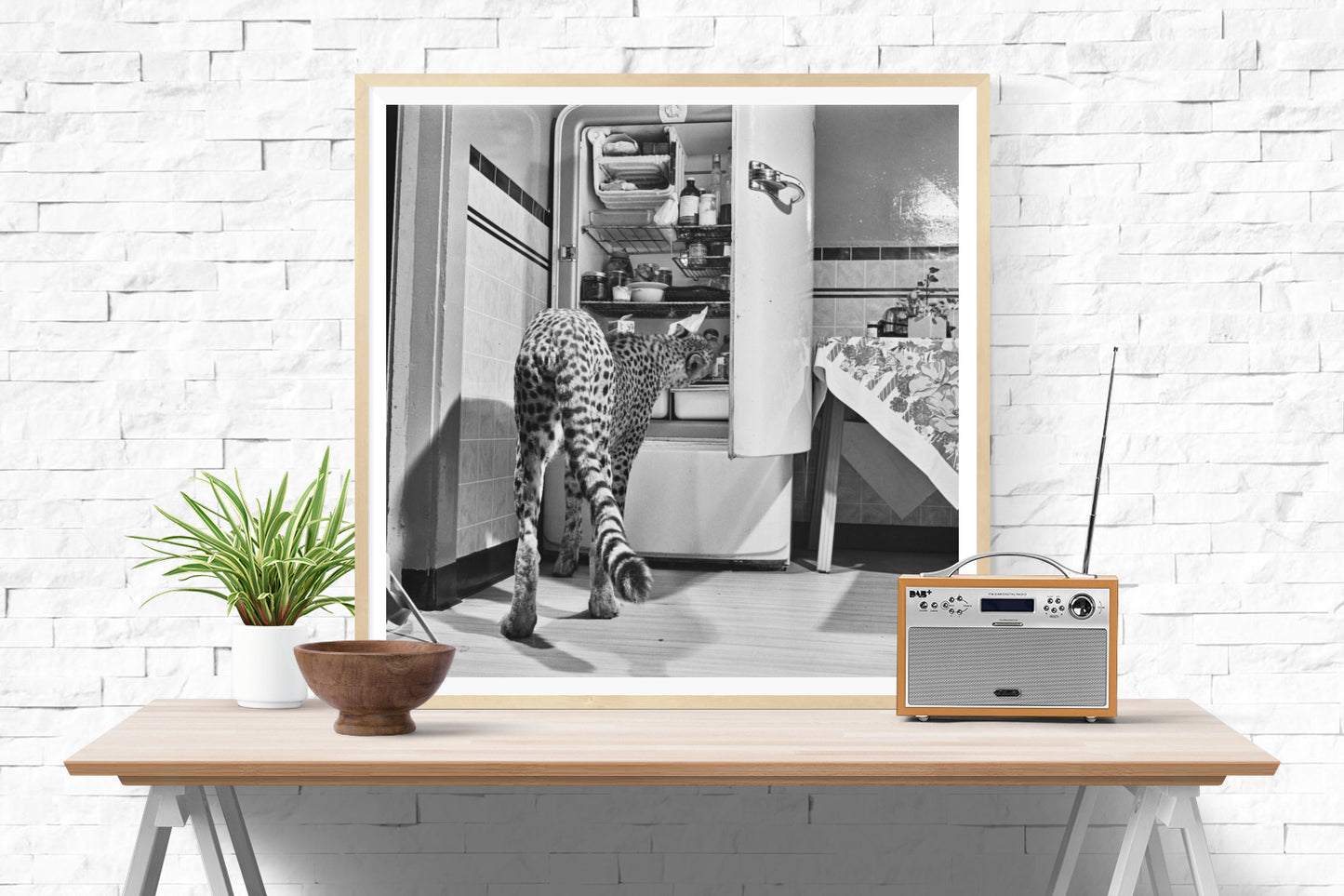 Hungry Cheetah-The Darkroom Society