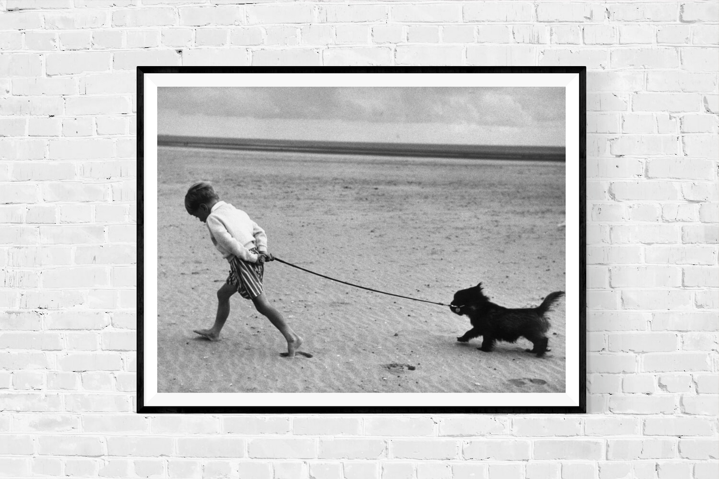Walking the Dog by Erich Auerbach