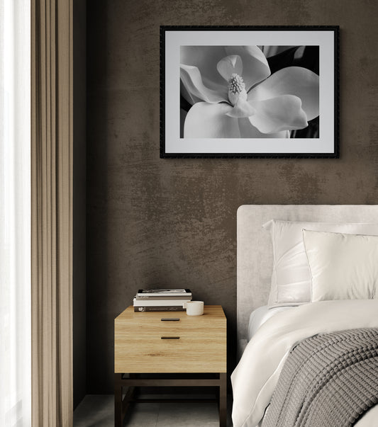 Magnolia Grandiflora Flower