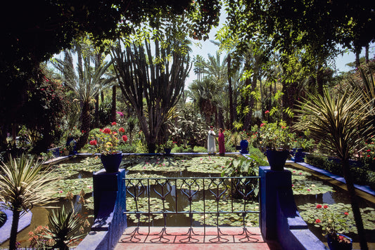 Slim Aarons: Majorelle Garden, Marrakesh