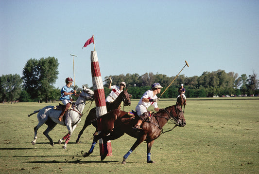 Slim Aarons: Polo In Buenos Aires