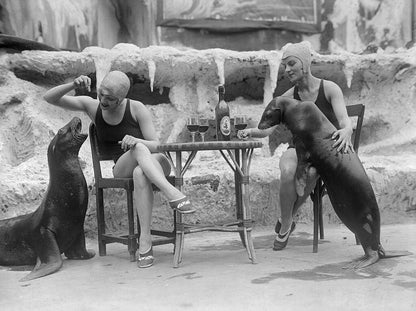 Animal Friends-The Darkroom Society