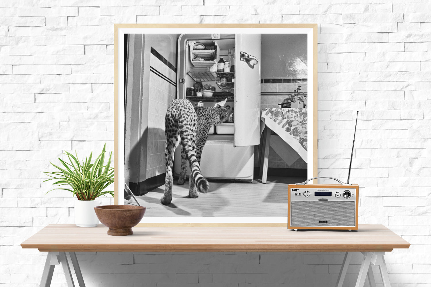 Hungry Cheetah-The Darkroom Society