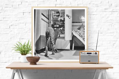 Hungry Cheetah-The Darkroom Society