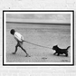 Walking the Dog by Erich Auerbach