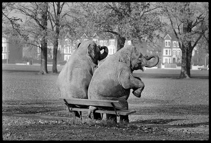 Arthur Steel: Bench Press-The Darkroom Society