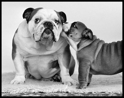 Arthur Steel: Careless Whispers-The Darkroom Society