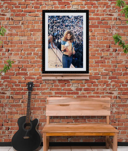 James Fortune: Robert Plant with Dove-The Darkroom Society