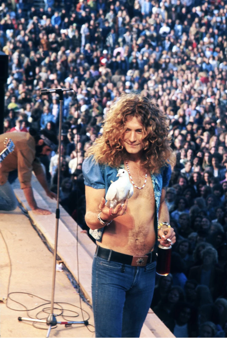 James Fortune: Robert Plant with Dove