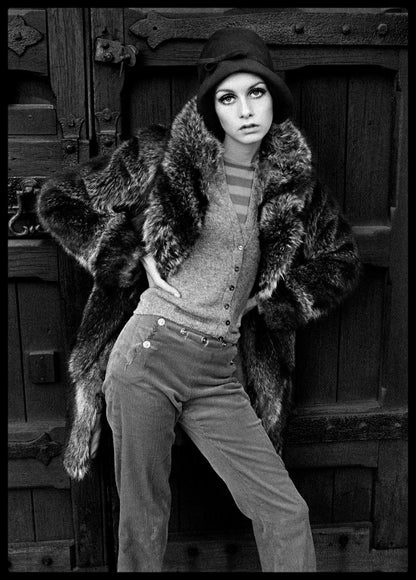 Arthur Steel: Twiggy-The Darkroom Society