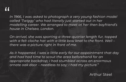 Arthur Steel: Twiggy-The Darkroom Society