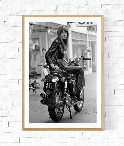 Francoise Hardy by Reg Lancaster-The Darkroom Society
