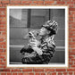 Tiger Lady-The Darkroom Society