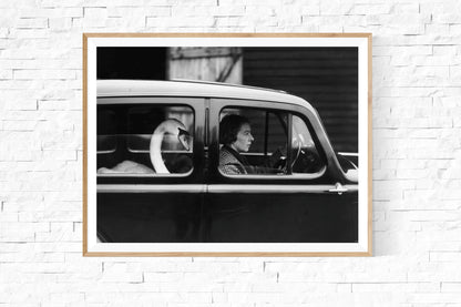 Swan in a Car-The Darkroom Society