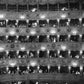 La Fenice by Erich Auerbach
