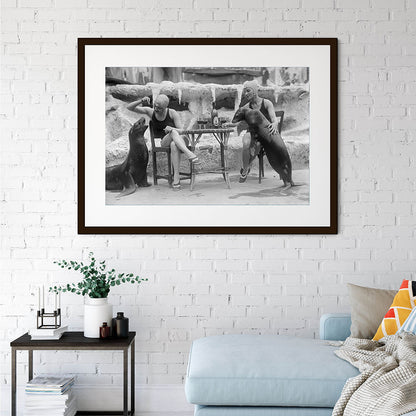 Animal Friends-The Darkroom Society