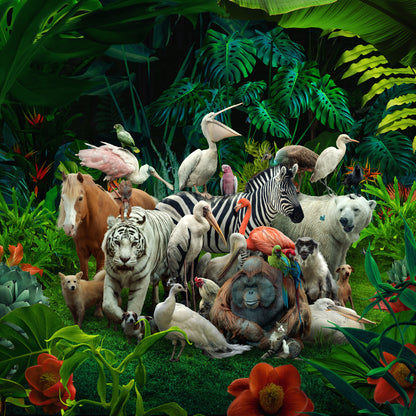 Big Family in the Forest-The Darkroom Society