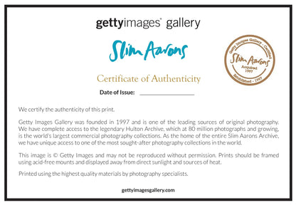 Slim Aarons: Poolside Gossip-The Darkroom Society