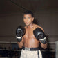 The Greatest by Trevor Humphries