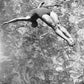 Betty Slade Dives