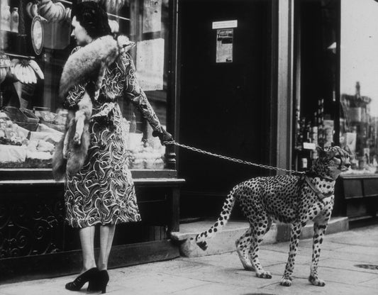 Cheetah Who Shops by B. C. Parade