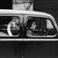Swan in a Car
