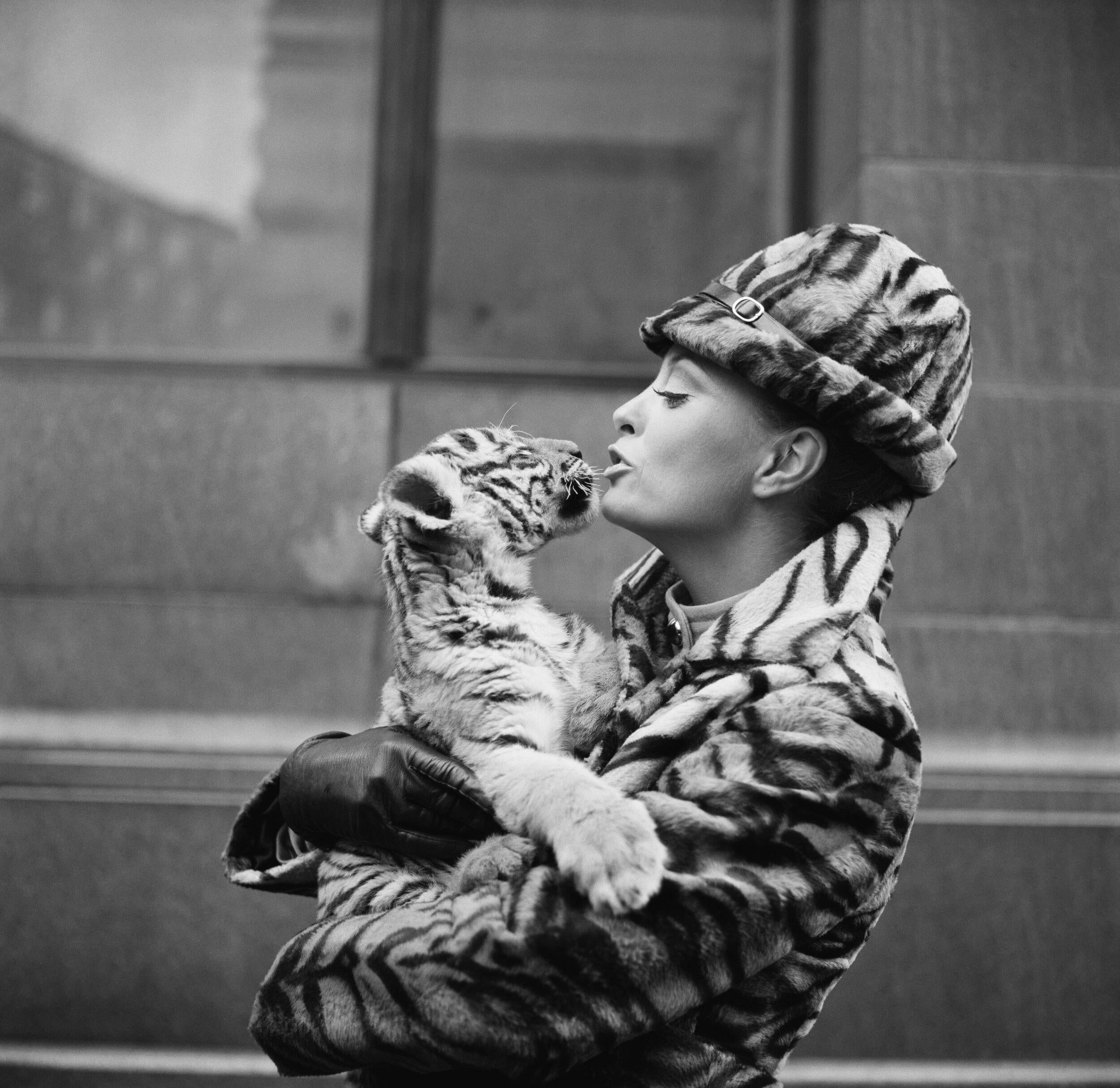 Lady Tiger Rapper Tiger Lady | Authentic Getty Photographs – The Darkroom Society