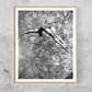 Betty Slade Dives