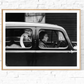 Swan in a Car